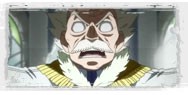 fairy tail 28