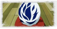 fairy tail 20