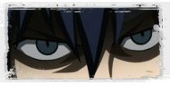 fairy tail 14