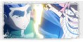 fairy tail 13